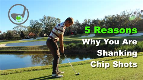 What is a Chip Shot in Golf and Why Does It Feel Like a Whisper in a Hurricane?