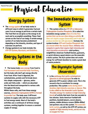 What is Energy System in Physical Education: A Journey Through the Body's Powerhouses